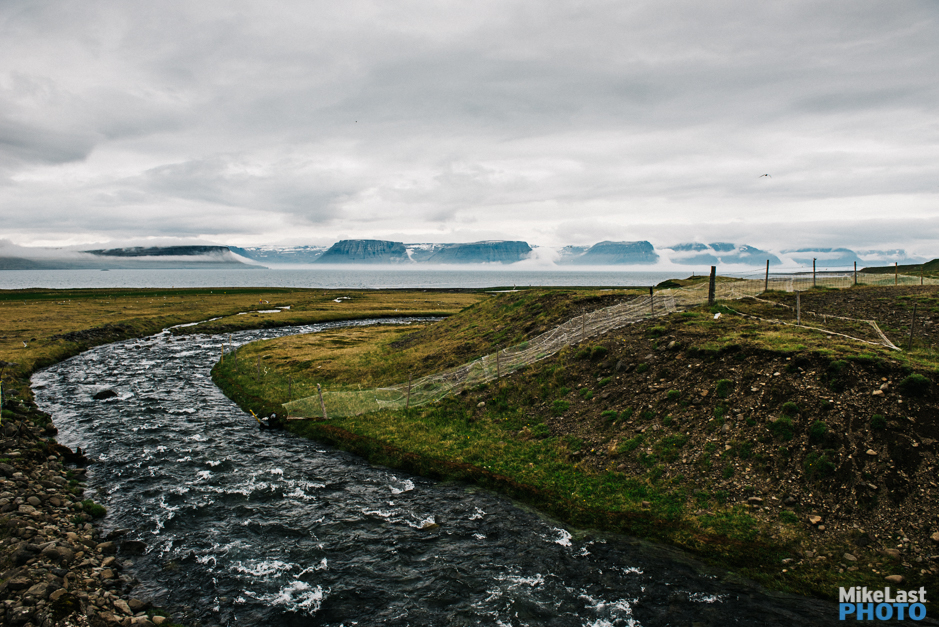 Westfjords - Iceland