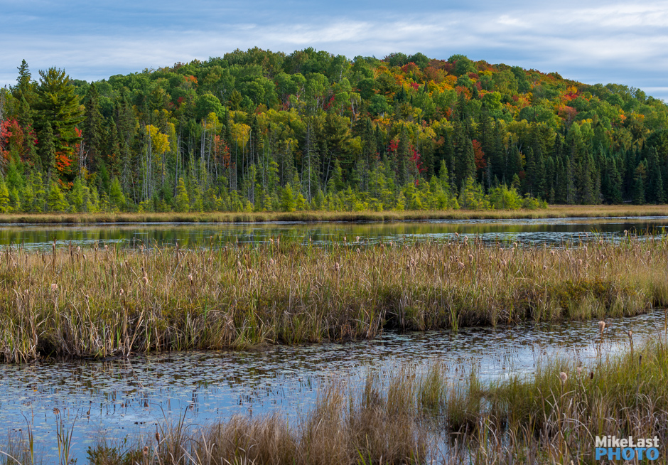 View from Highway 60, Algonquin Park in Fall